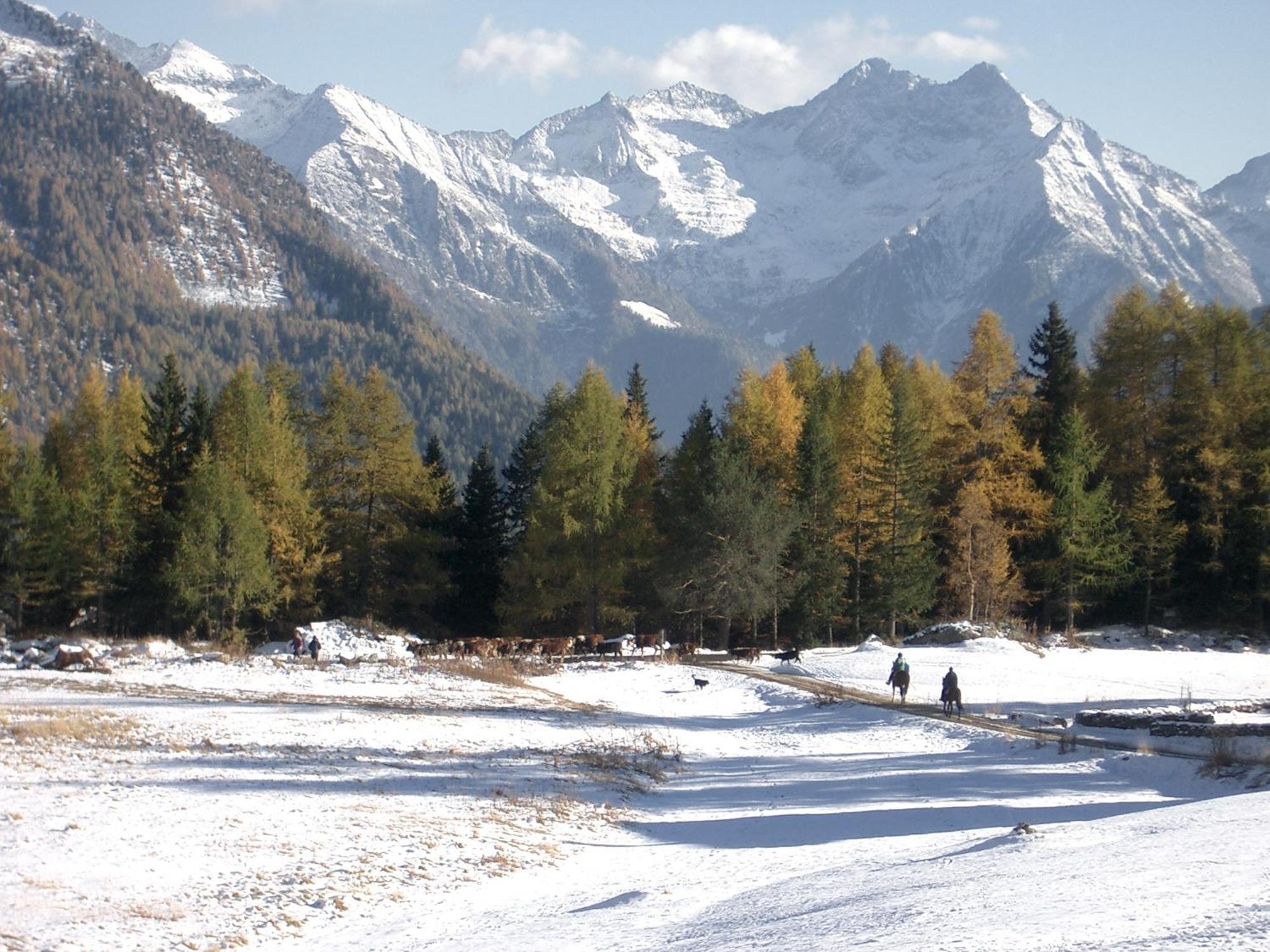 Le Vieux Rascard Chambres D'Hotes Champoluc Exteriér fotografie